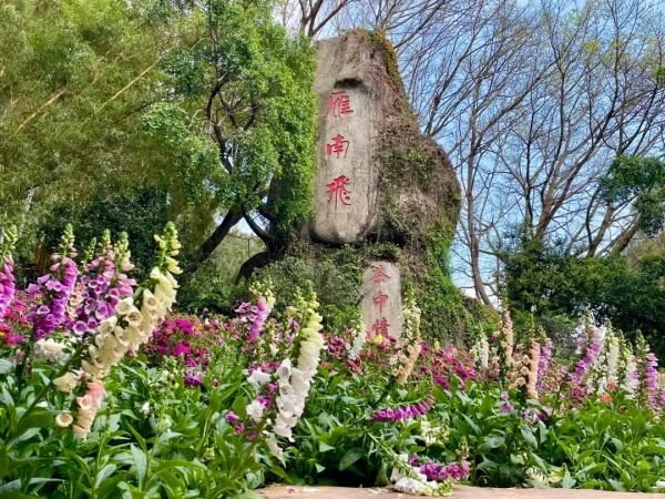 ���ϷɵĴ�����Լ��̧�ż䣬������Ŀ����ײ��������